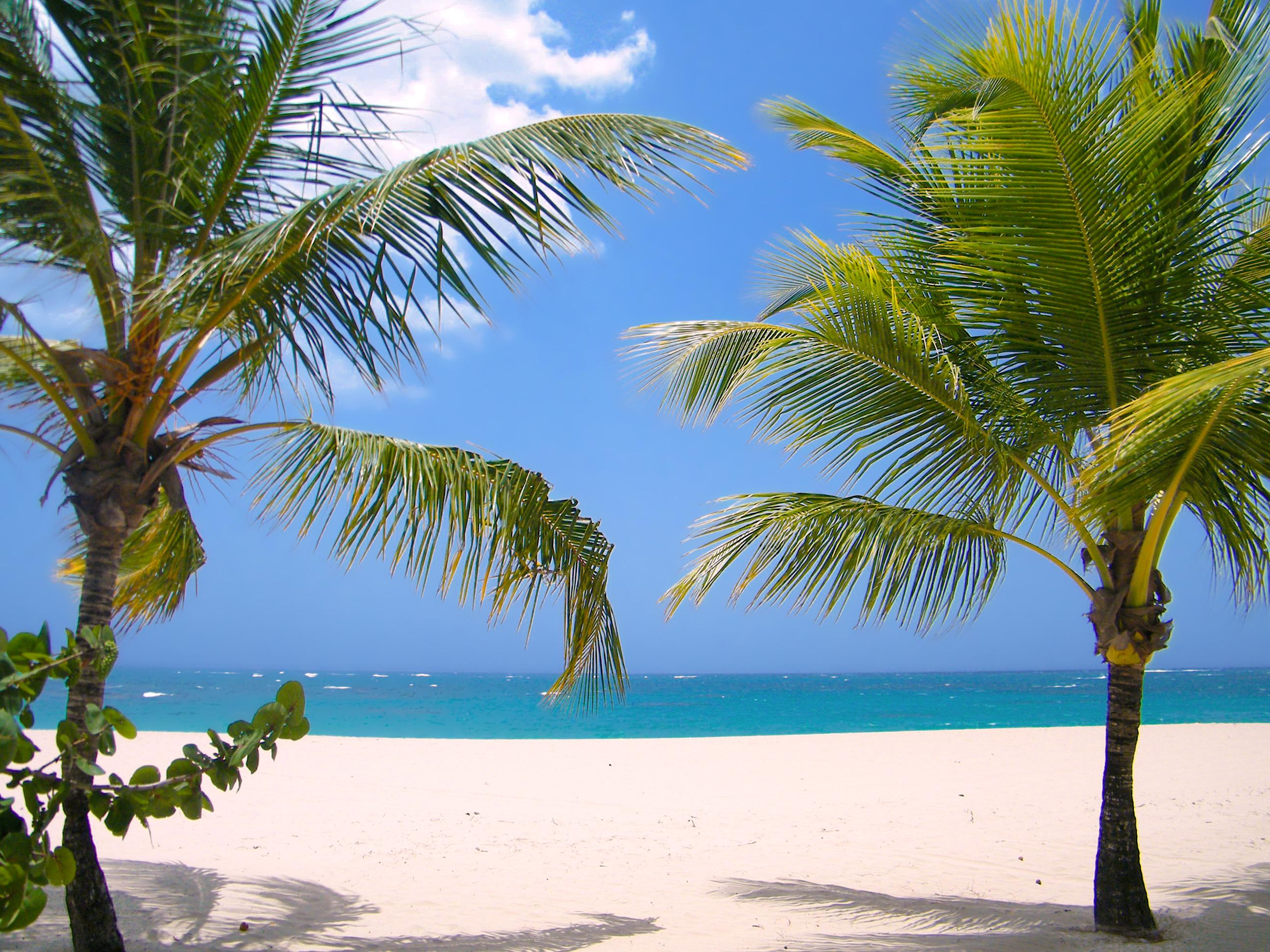 Viva Heavens By Wyndham, A Trademark All Inclusive (Adults Only) Puerto Plata Екстер'єр фото