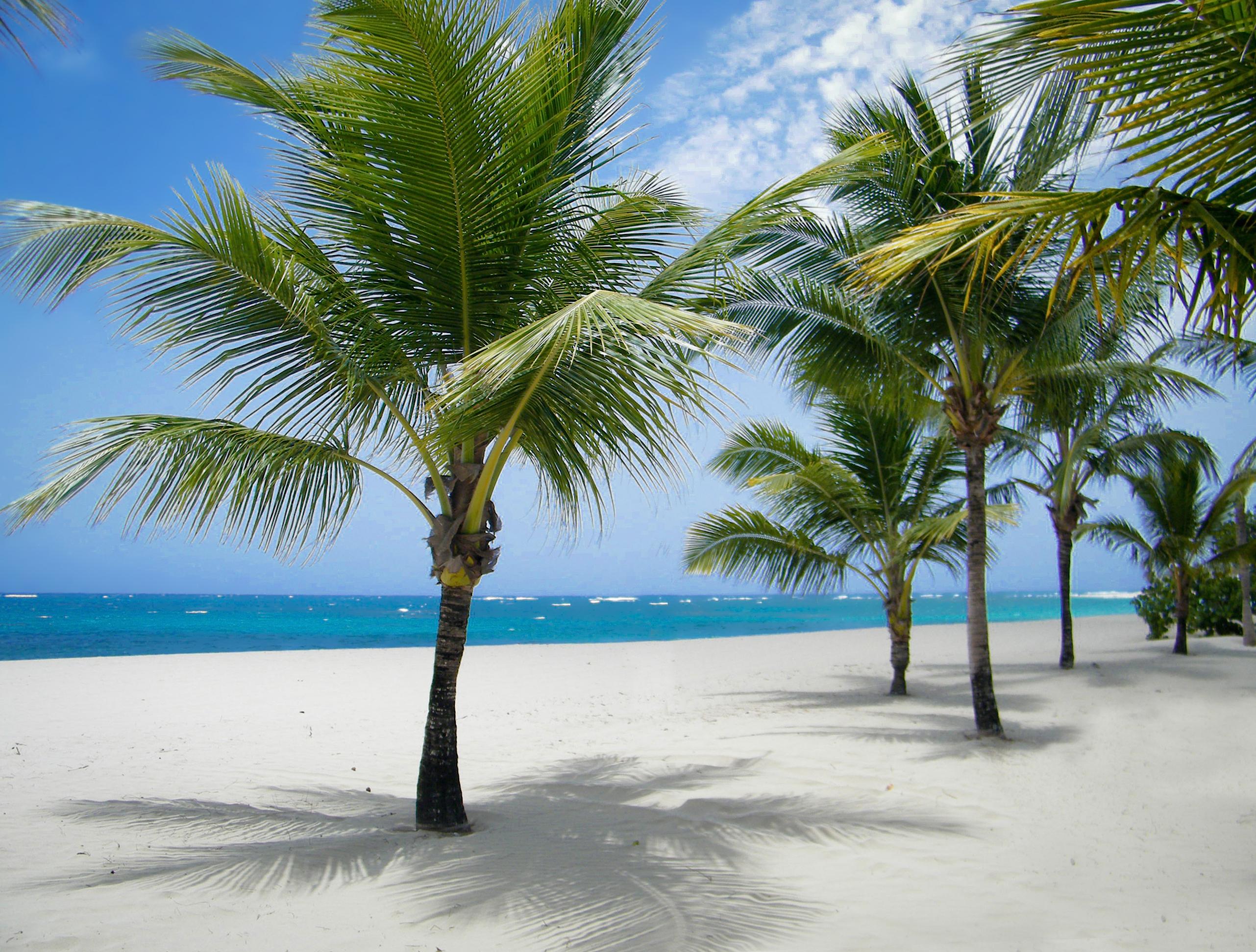 Viva Heavens By Wyndham, A Trademark All Inclusive (Adults Only) Puerto Plata Екстер'єр фото