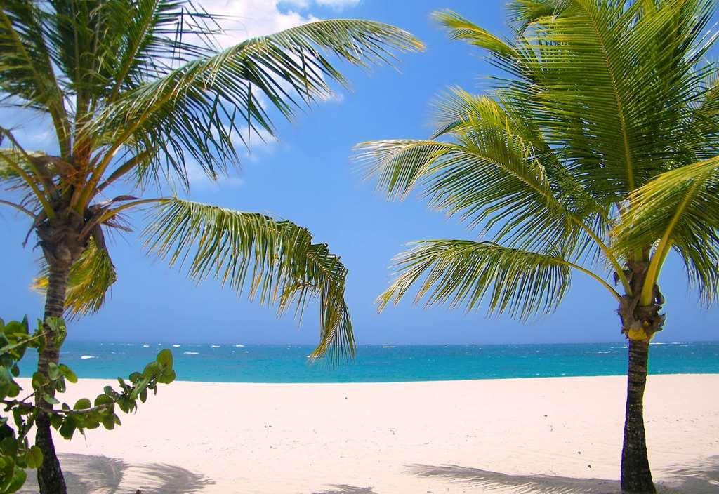 Viva Heavens By Wyndham, A Trademark All Inclusive (Adults Only) Puerto Plata Природа фото